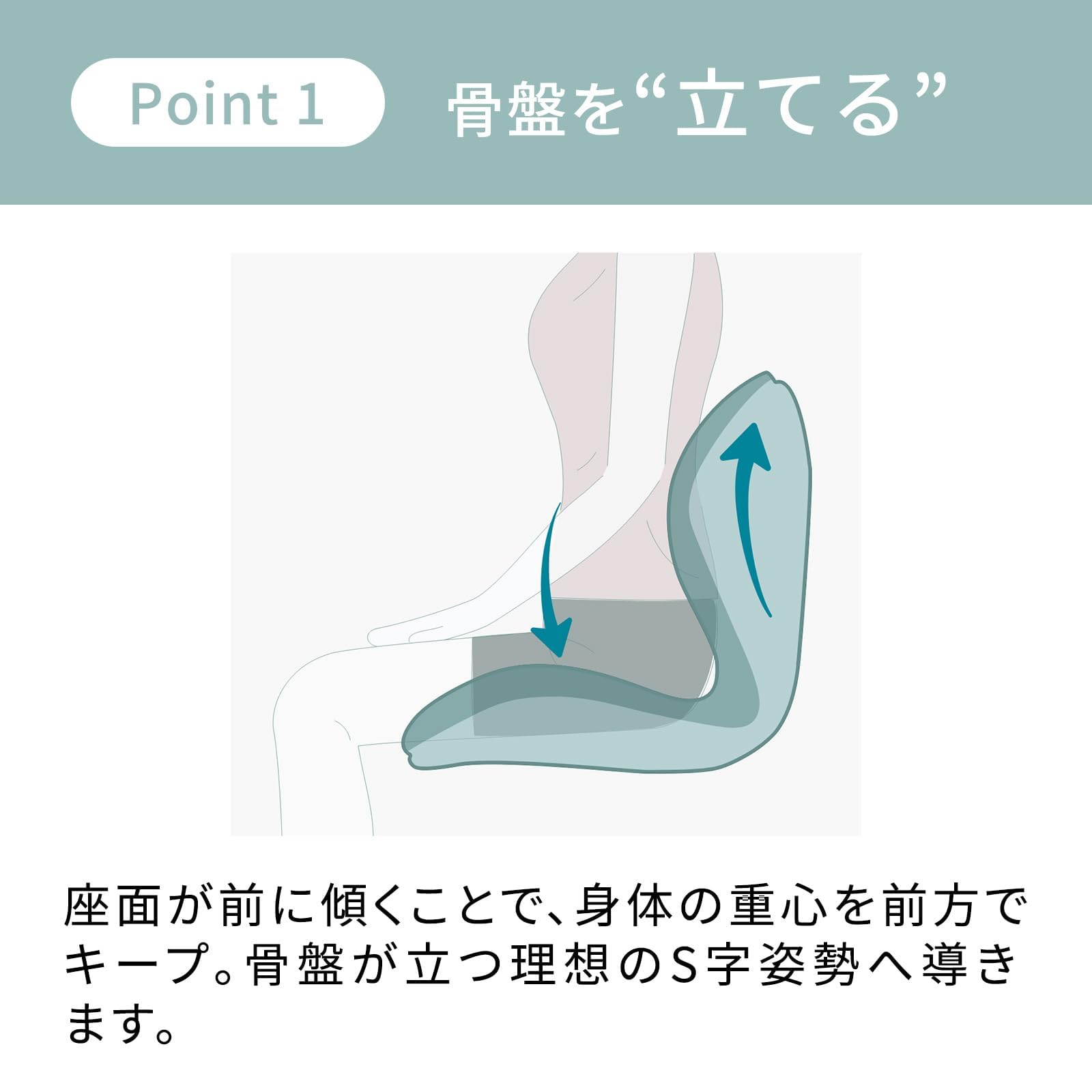 Amazon｜シリーズ エムティージー 骨盤サポートチェア 座椅子 PREMIUM